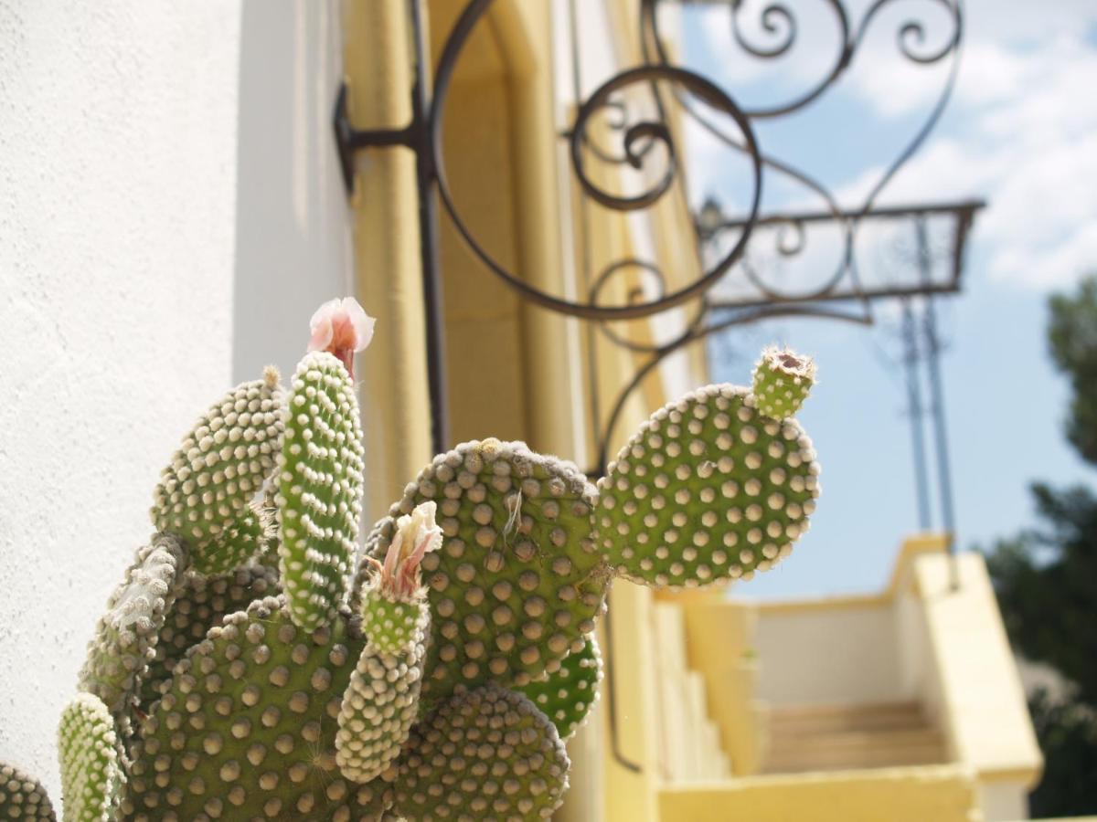 Sogni D'Oro Bed & Breakfast Grottaglie Dış mekan fotoğraf